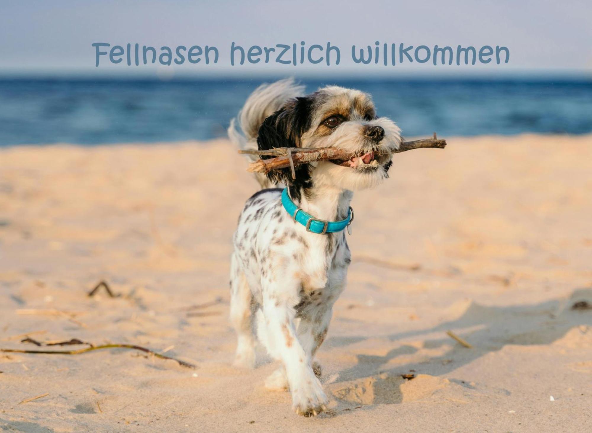 Hafensuite Ipura Vida! - Fuer Leben-Geniesser 卡珀尔恩 外观 照片